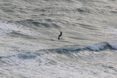 6N0A5652