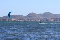 6N0A3397
