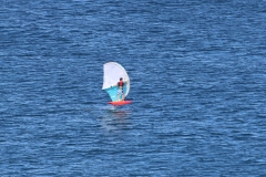 6N0A5745