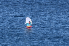 6N0A5769
