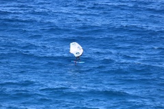 6N0A6652
