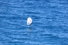 6N0A6671