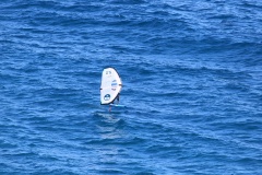 6N0A6676