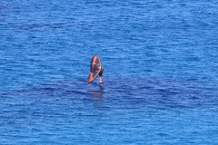 6N0A3989
