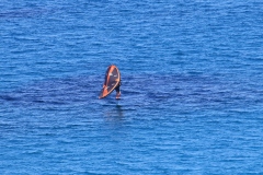 6N0A3991