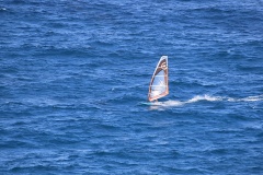 6N0A6105