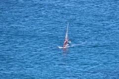 6N0A5318