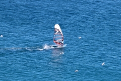 6N0A5331