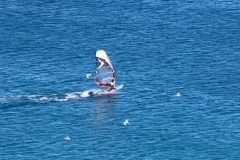 6N0A5332